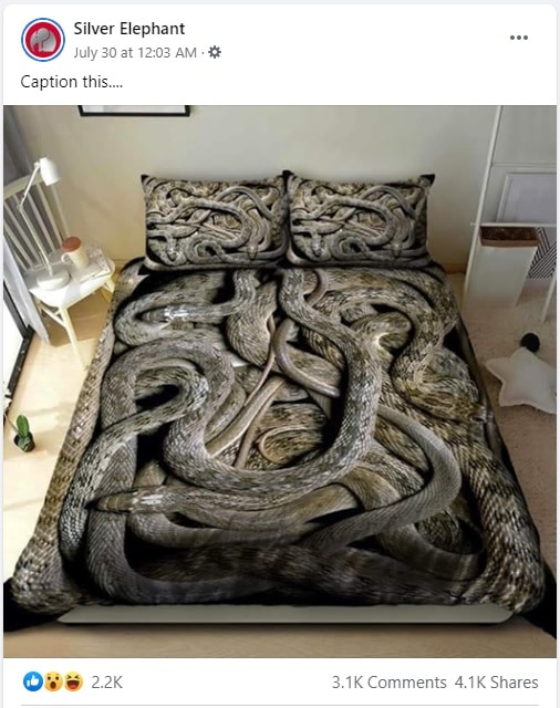 Photo Facebook d'un lit dont les draps sont en forme de serpent